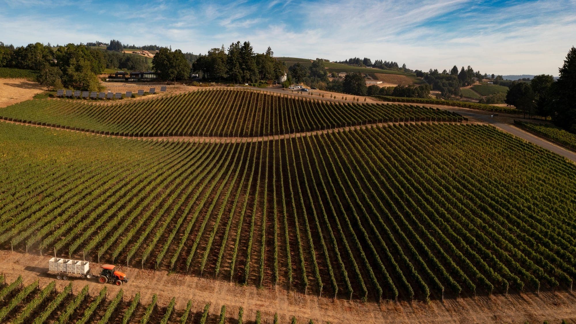 25 Eco-Friendly and Sustainable Wineries(Global List)